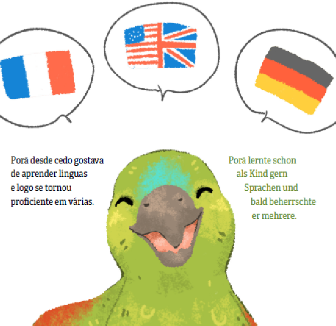 um exemplo das ilustrações do livro, um papagaio
